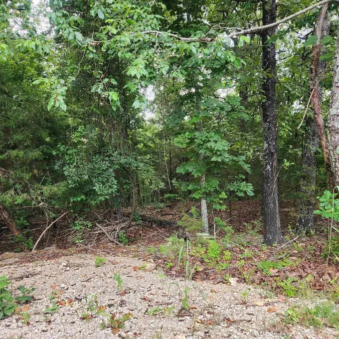 Cherokee Village, Sharp County, AR Undeveloped Land, Homesites for sale Property ID: 416915907