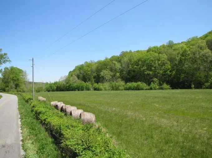 0 Hog Jowl (18 59 Ac) Rd, Chickamauga, GA 30707 - MLS 7287362 for Sale