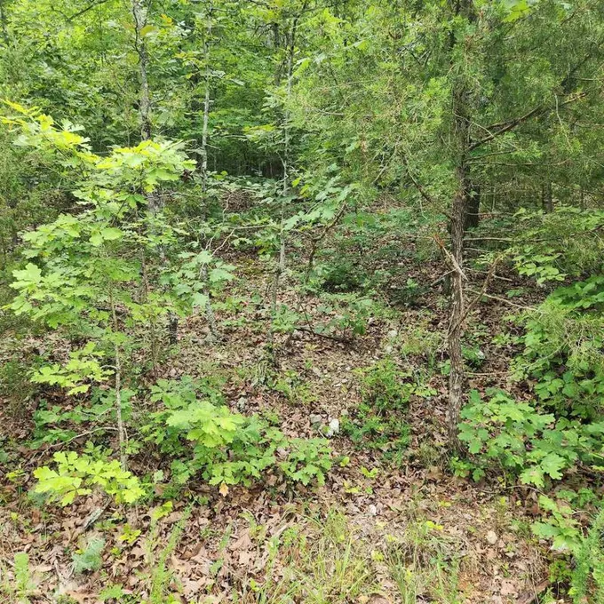 Cherokee Village, Sharp County, AR Undeveloped Land, Homesites for sale Property ID: 416915909