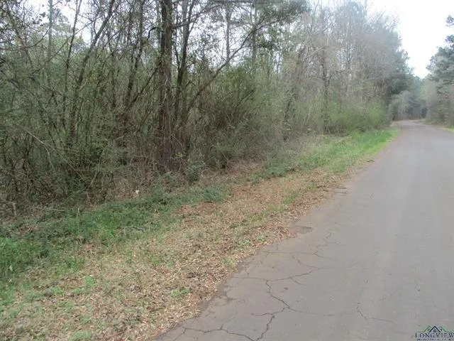 TBD CR 3163, Laneville, TX 75667 for Sale