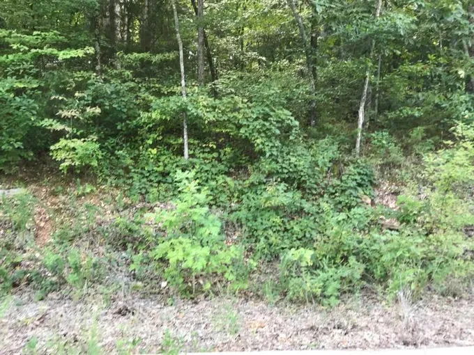 235 CRESCENT DR, Hollister, MO 65672 Land For Sale  MLS# 60227216