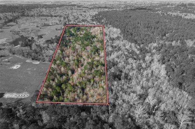 TBD ASTER, Gilmer, TX 75644 Land For Sale  MLS# 20385843