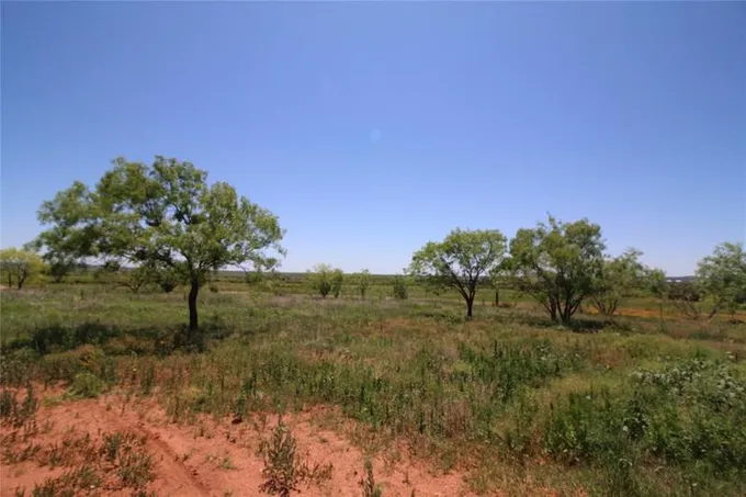 Lot 4 Marshal Trl, Tuscola, TX 79562 for Sale