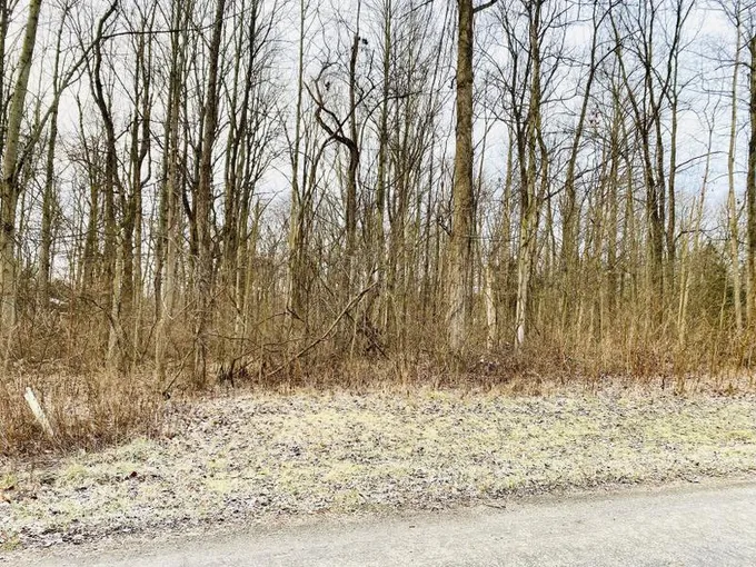 Coatesville, Putnam County, IN Undeveloped Land, Homesites for sale Property ID: 418614716