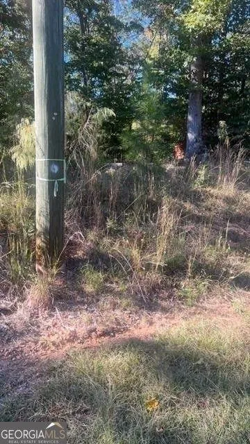 Martin, Stephens County, GA Undeveloped Land, Homesites for sale Property ID: 418430034