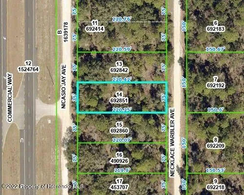 Weeki Wachee, Hernando County, FL Commercial Property, Homesites for sale Property ID: 418146464