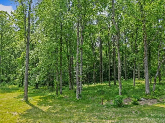Fletcher, Henderson County, NC Undeveloped Land, Homesites for sale Property ID: 417062947