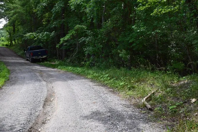 Pilot, Floyd County, VA Undeveloped Land for sale Property ID: 416950345