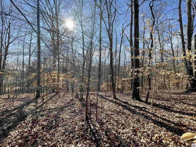 Cadiz, Trigg County, KY Undeveloped Land, Homesites for sale Property ID: 415666441