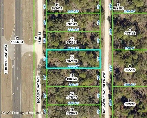 Weeki Wachee, Hernando County, FL Commercial Property, Homesites for sale Property ID: 418146466
