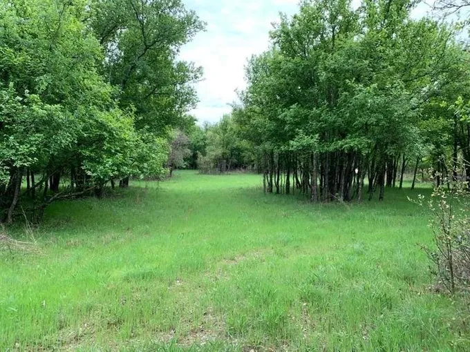 TBD CR 468, De Leon, TX 76444 for Sale