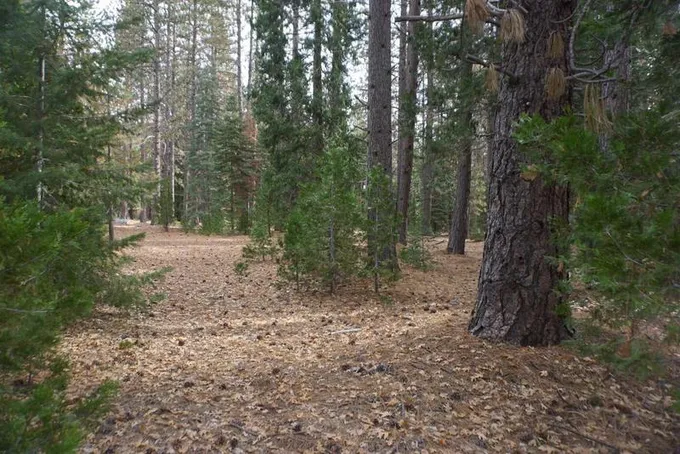 58521 Wagon Wheel Road, Cromberg, CA 96103  612532574 for Sale