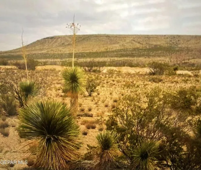 Tbd C/O SIERRA PRIETO, LTD, Sierra Blanca, TX 79851 for Sale