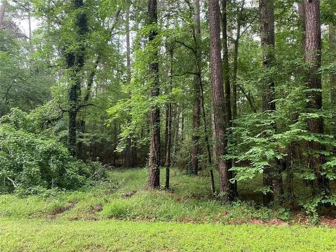 0 GOVERNOR PEASE CIRCLE, Point Blank, TX 77364 Land For Sale  MLS# 15831943