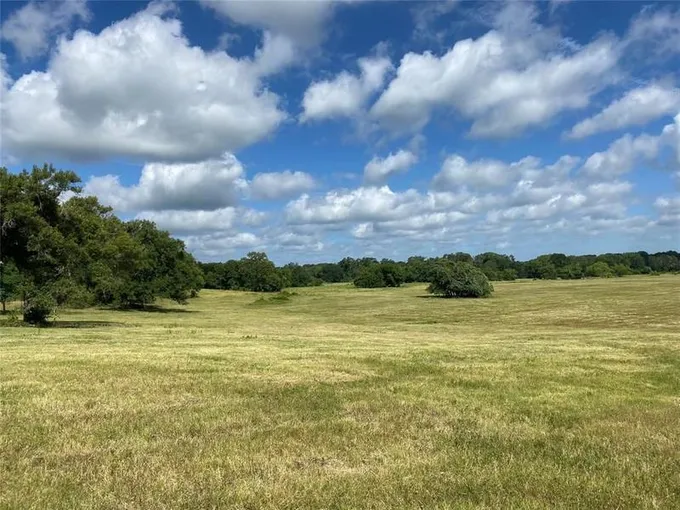 Centerville, Leon County, TX Farms and Ranches, Horse Property for sale Property ID: 414170565