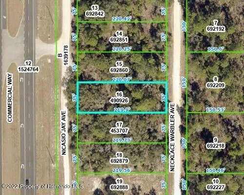 Weeki Wachee, Hernando County, FL Commercial Property, Homesites for sale Property ID: 418146463