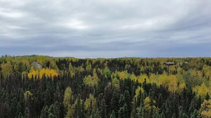 Willow, Matanuska-Susitna Borough, AK Recreational Property, Undeveloped Land, Homesites for sale Property ID: 418040185