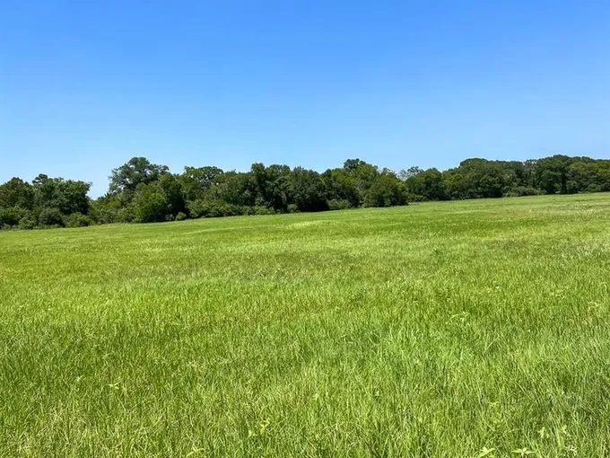 07B Private Road off County Road 3625A, Lovelady, TX 75851 for Sale
