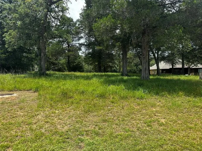 0 N FALLS DR, New Ulm, TX 78950 for Sale
