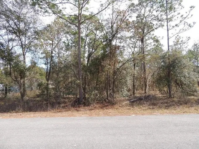 00 SE 126th Terrace, Dunnellon, FL 34431 - MLS OM660997 for Sale