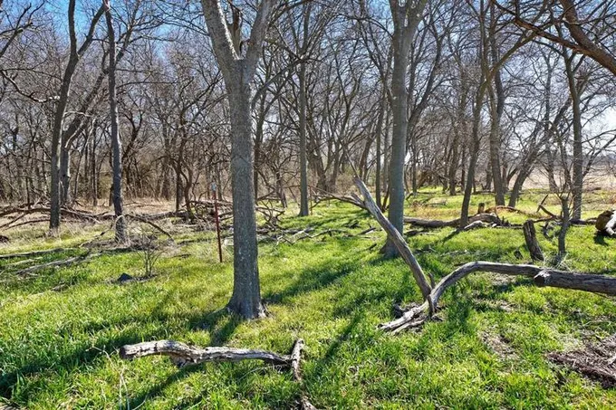 TBD Lot 10 County Road 102, Grandview, TX 76050 for Sale