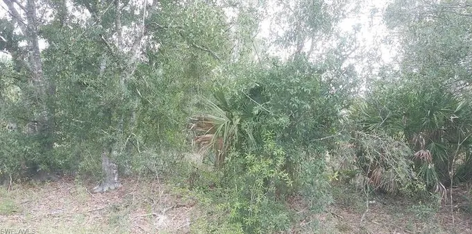 27354 Treadmill Dr, Punta Gorda, FL 33955 - MLS 223061839 for Sale