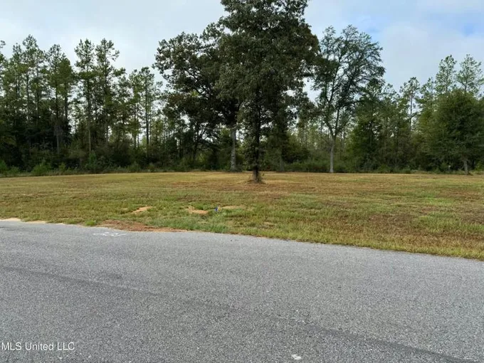221 GRACIES WAY, Lucedale, MS 39452 Land For Sale  MLS# 4060761