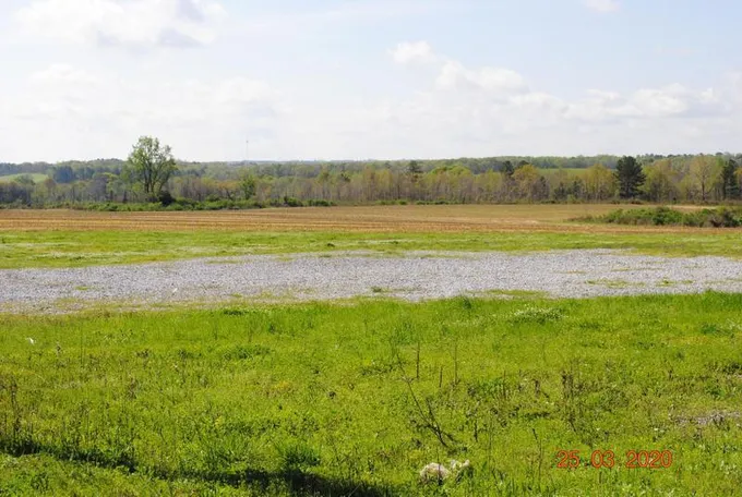 Clanton, Chilton County, AL Recreational Property, Undeveloped Land, Commercial Property for sale Property ID: 337685129