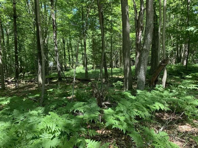 Mears, Oceana County, MI Undeveloped Land, Homesites for sale Property ID: 414211212