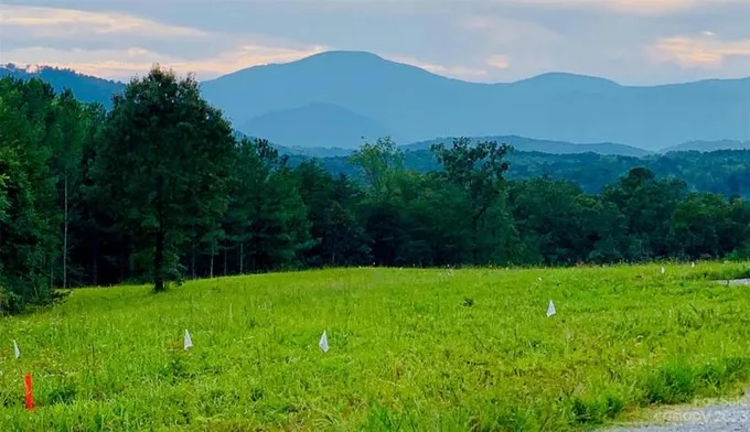 10.1 ACRES, Rutherfordton, NC 28139 Land For Sale  MLS# 4073430