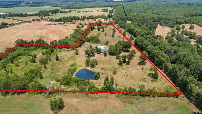17099 FM 315, Palestine, TX 75803 Single Family Residence For Sale  MLS# 23010666