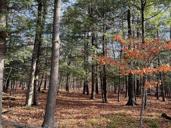 Tbd Cliff Top Rd, Sturgeon Bay, WI 54235  610313730 for Sale