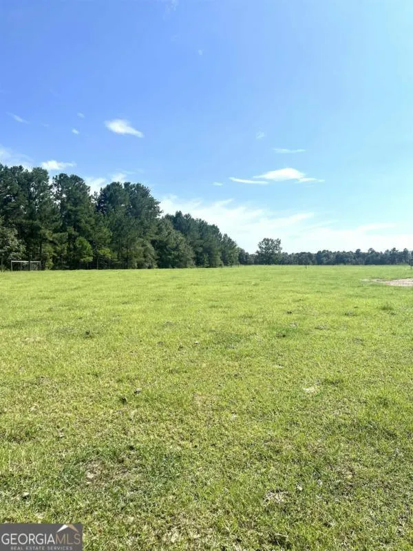 00 CLAXTON LIVELY ROAD, Waynesboro, GA 30830 Land For Sale  MLS# 20145767