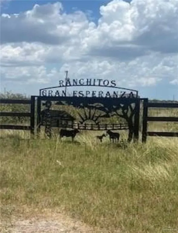 Lot 65 Esperanza Street, Weslaco, TX 78596 for Sale