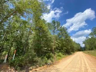 Millry, Washington County, AL Recreational Property, Timberland Property, Hunting Property for sale Property ID: 416719105