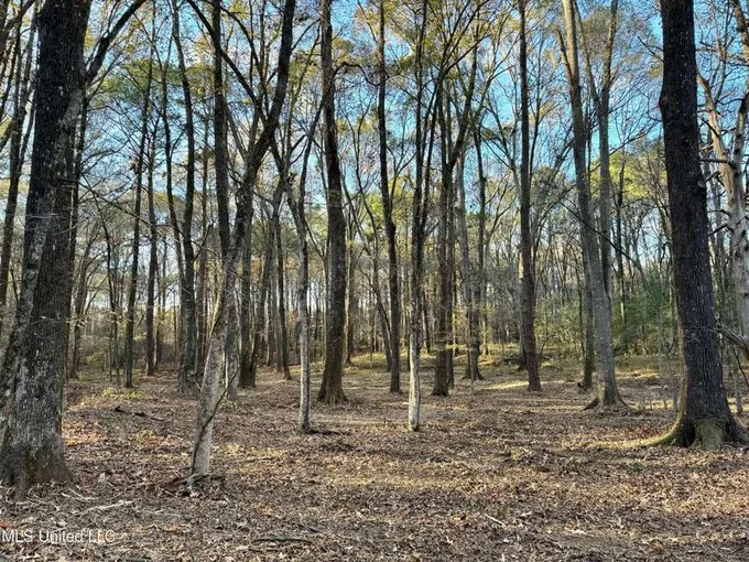 Springwood Trail, Flora, MS 39071  615177141 for Sale