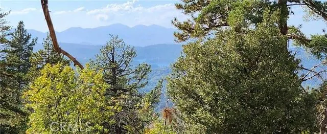 0 TRAILS END ROAD, Green Valley Lake, CA 92341 Land For Sale  MLS# RW22222974
