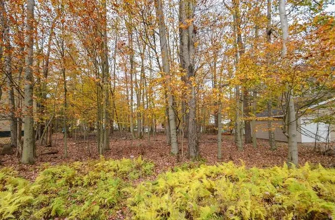 Bumble Bee #552, Coolbaugh Twp, PA 18466 - MLS 730652 for Sale