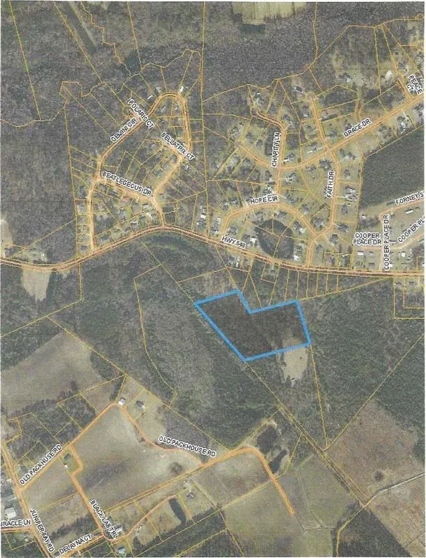 Conway, Horry County, SC Undeveloped Land for sale Property ID: 415719405