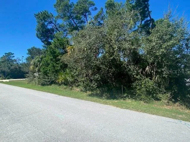 Palm Coast, Flagler County, FL Undeveloped Land, Homesites for sale Property ID: 418020742