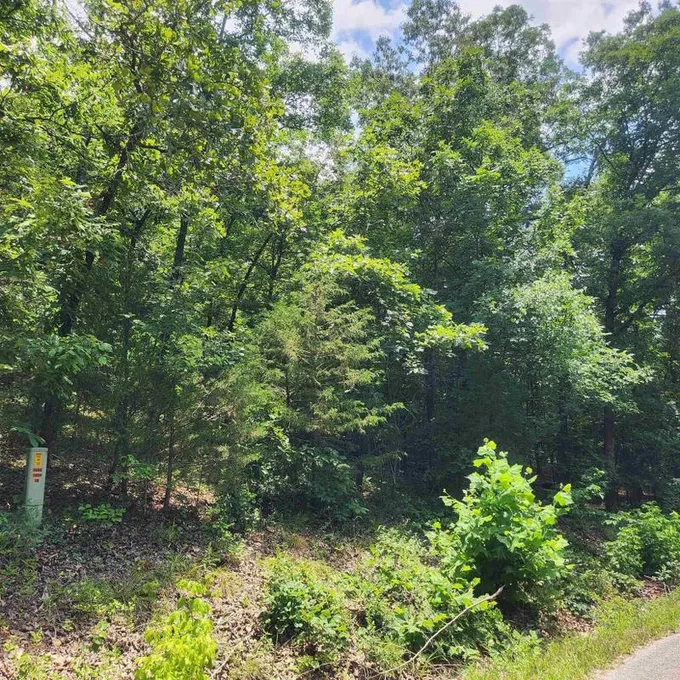 Cherokee Village, Sharp County, AR Undeveloped Land, Homesites for sale Property ID: 416915916