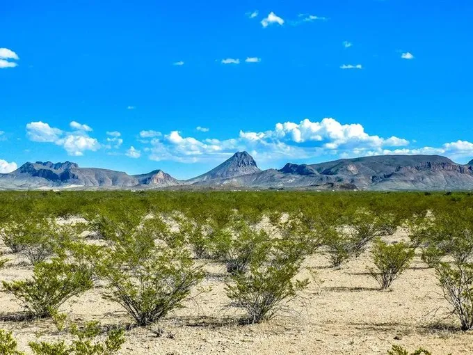 19898 Este Rd, Terlingua, TX 79852 for Sale