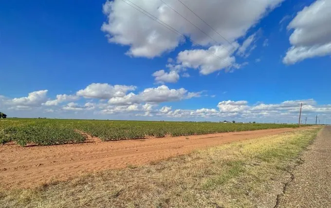 Ropesville, Hockley County, TX Undeveloped Land, Homesites for sale Property ID: 337311787