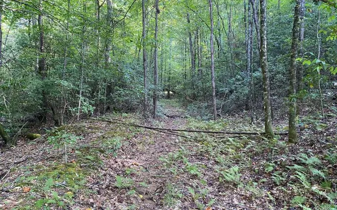 Suches, Union County, GA Homesites for sale Property ID: 417757486