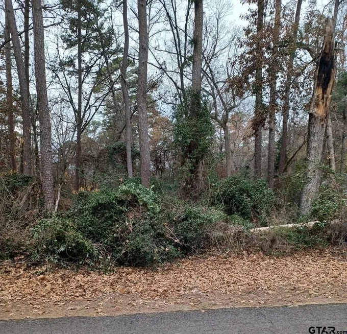 TBD Robin Cove, Holly Lake Ranch, TX 75765 for Sale