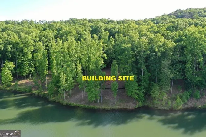 Cleveland, White County, GA Undeveloped Land, Lakefront Property, Waterfront Property, Homesites for sale Property ID: 417624123