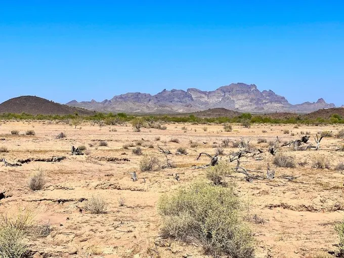 Tonopah, Maricopa County, AZ Recreational Property, Undeveloped Land for sale Property ID: 418021825