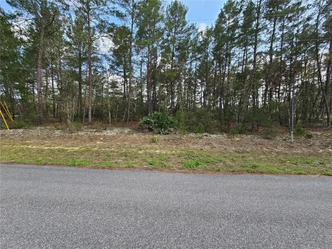 Citrus Springs, Citrus County, FL Farms and Ranches, Homesites for sale Property ID: 416188281