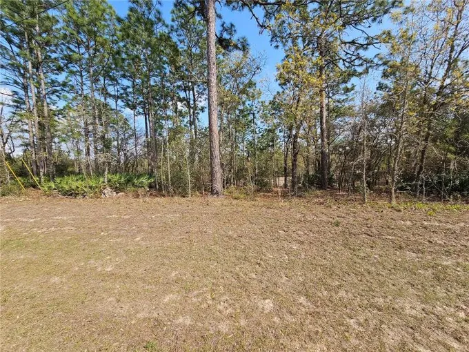 Citrus Springs, Citrus County, FL Farms and Ranches, Homesites for sale Property ID: 416188280