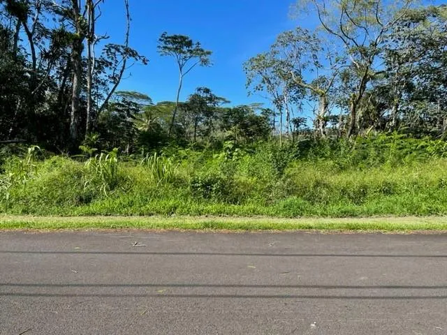15-2785 NEHU ST, PAHOA, HI 96778 Land For Sale  MLS# 703577